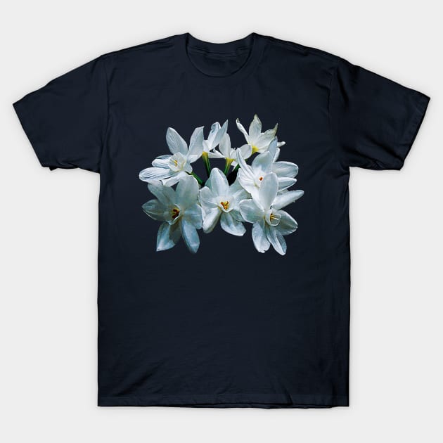 Narcissus - Paperwhite Narcissus T-Shirt by SusanSavad